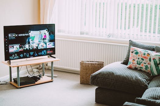 Que faut-il savoir sur les émissions de télé-réalité en 2022 ?